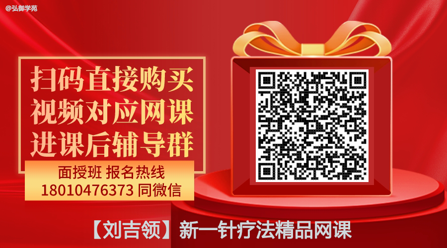 【刘吉领】新一针疗法精品网课-图片1