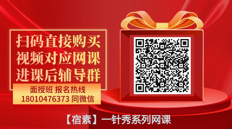 【宿素】一针秀精品系列网课-图片1