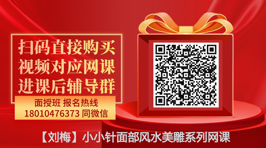 【刘梅】小小针面部风水美雕线上网课-图片1