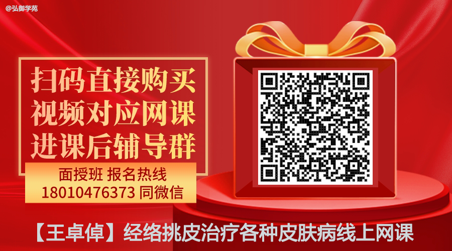 【王卓倬】经络挑皮治疗各种皮肤病线上网课-图片1