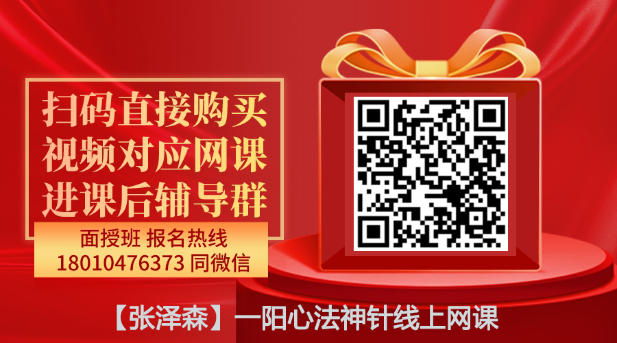 【张泽森】一阳心法神针系列网课