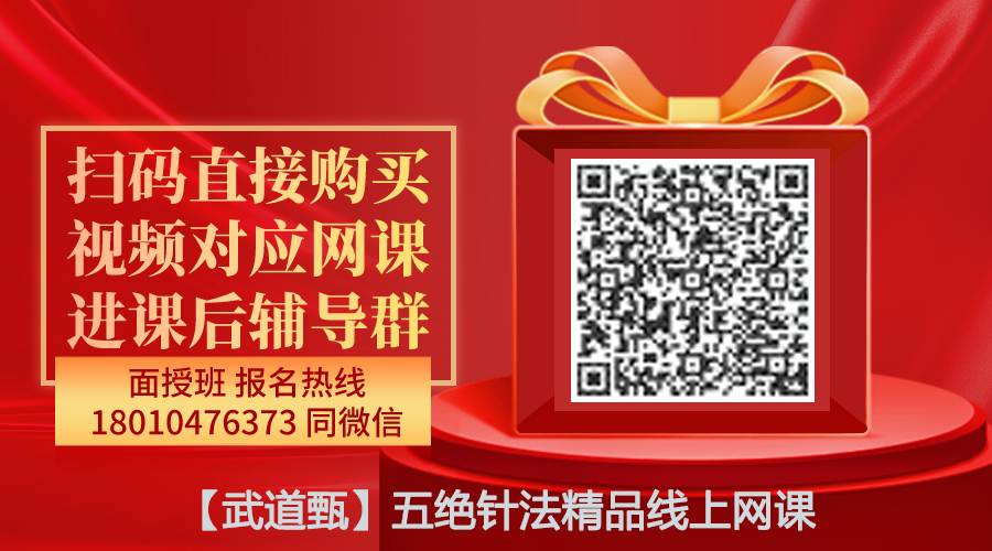 【武道甄】五绝针法精品线上网课