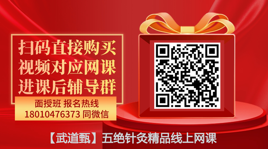 【武道甄】五绝针法精品线上网课